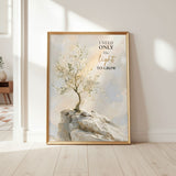 Rooted by His Light | Christian Affirmation