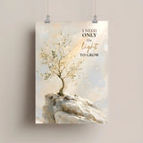 Rooted by His Light | Christian Affirmation